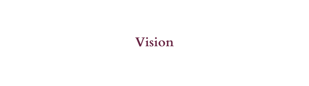 Vision